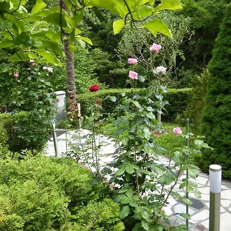 Zelena Oaza * Lovran