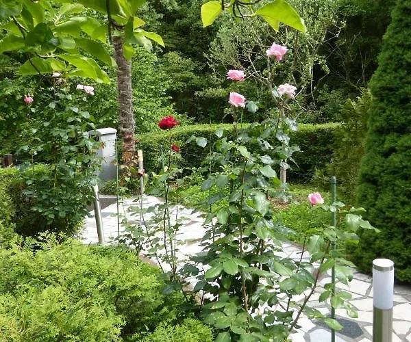 Zelena Oaza * 로브란