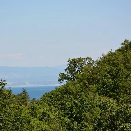 Lägenhet Zelena Oaza *